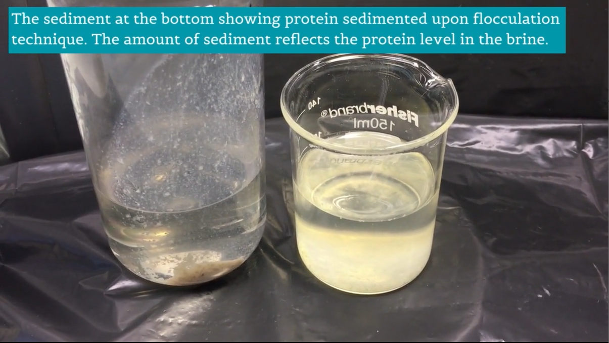 Recovery of nutrients from herring and cod processing waters