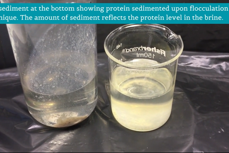 Recovery of nutrients from herring and cod processing waters