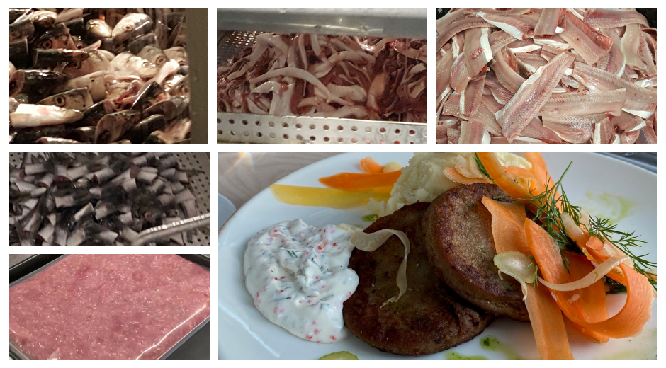 Developing New Healthy and Tasty Seafood from Head to Tail with Innovative sorting technology