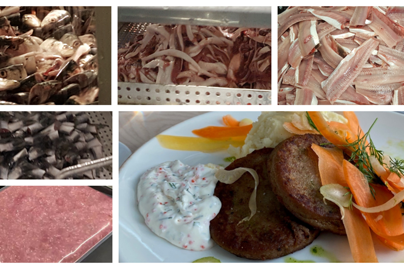 Developing New Healthy and Tasty Seafood from Head to Tail with Innovative sorting technology