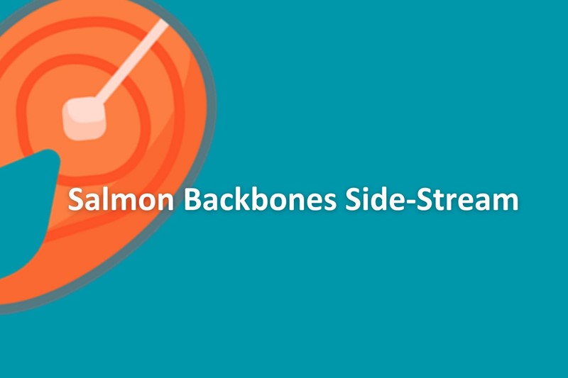 Enzymatic Hydrolysis Technology: Salmon Backbones Side-Stream