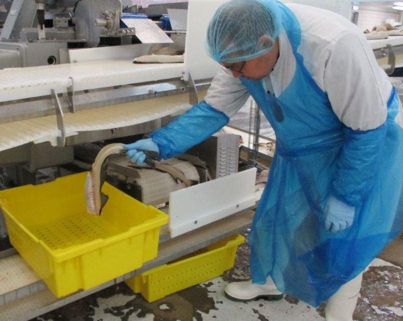 Samples of side-streams are being collected