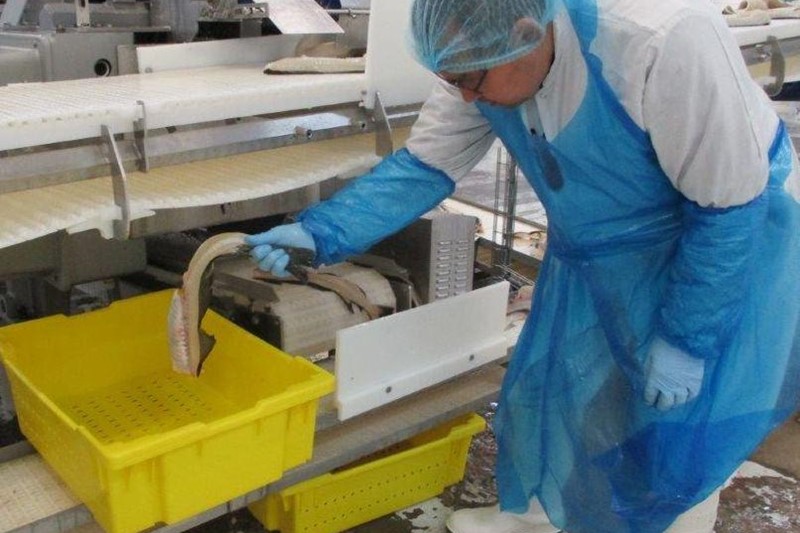 Samples of side-streams are being collected