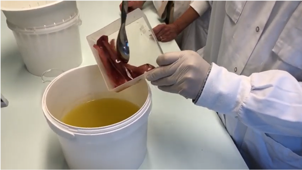 Dipping solution turns the whole fish into valuable food