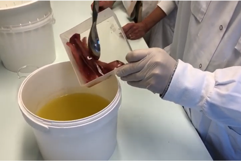 Dipping solution turns the whole fish into valuable food