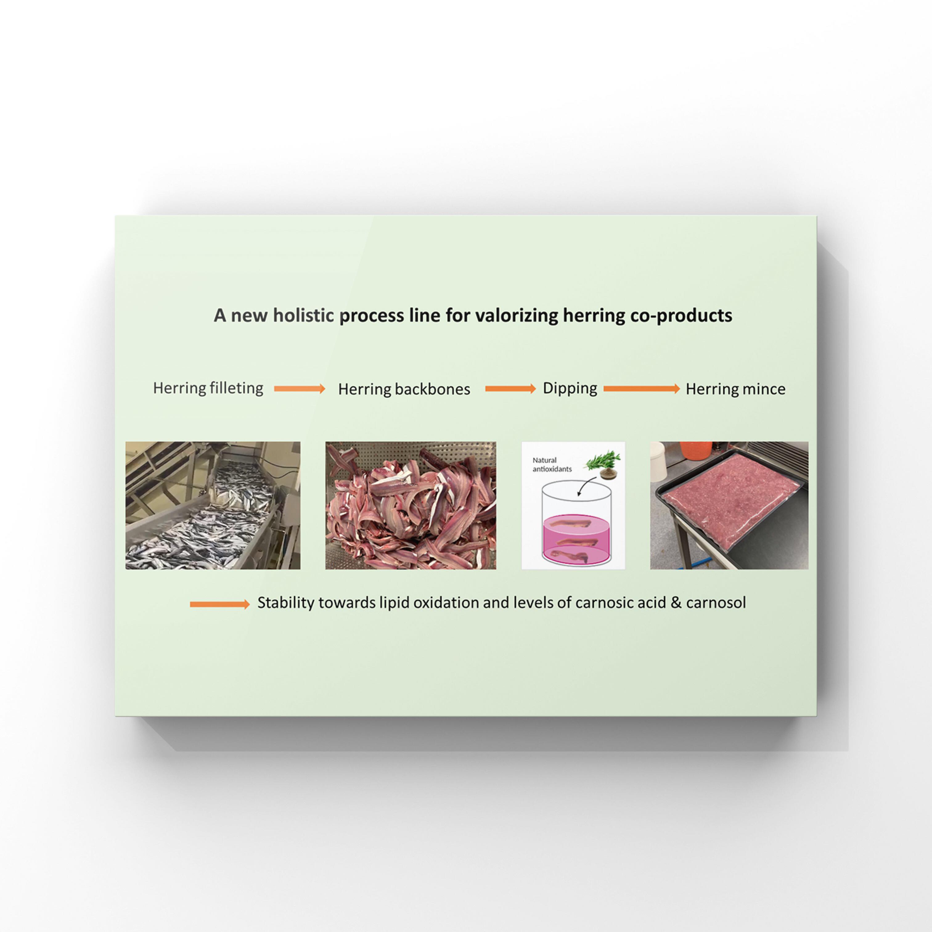 Pilot-scale antioxidant dipping of herring co-products to allow their upgrading to a high-quality mince for food production