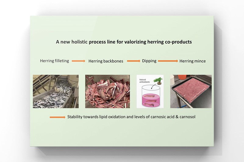 Pilot-scale antioxidant dipping of herring co-products to allow their upgrading to a high-quality mince for food production