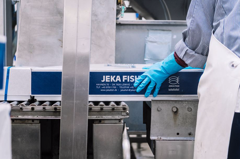 Jeka Fish enters as new partner in WaSeaBi