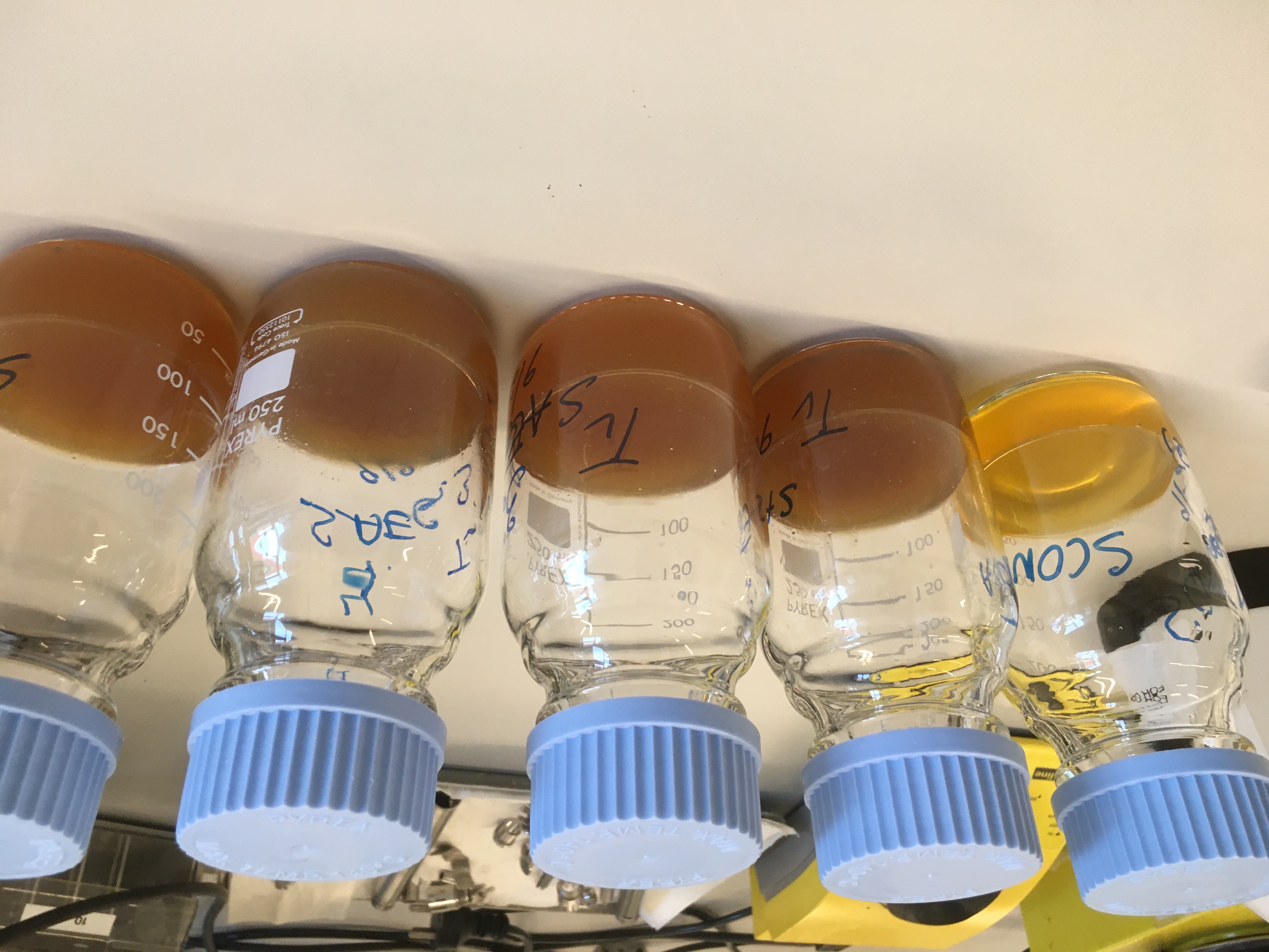 What has happened this year and what to expect from 2022?