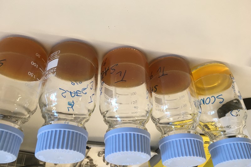 What has happened this year and what to expect from 2022?