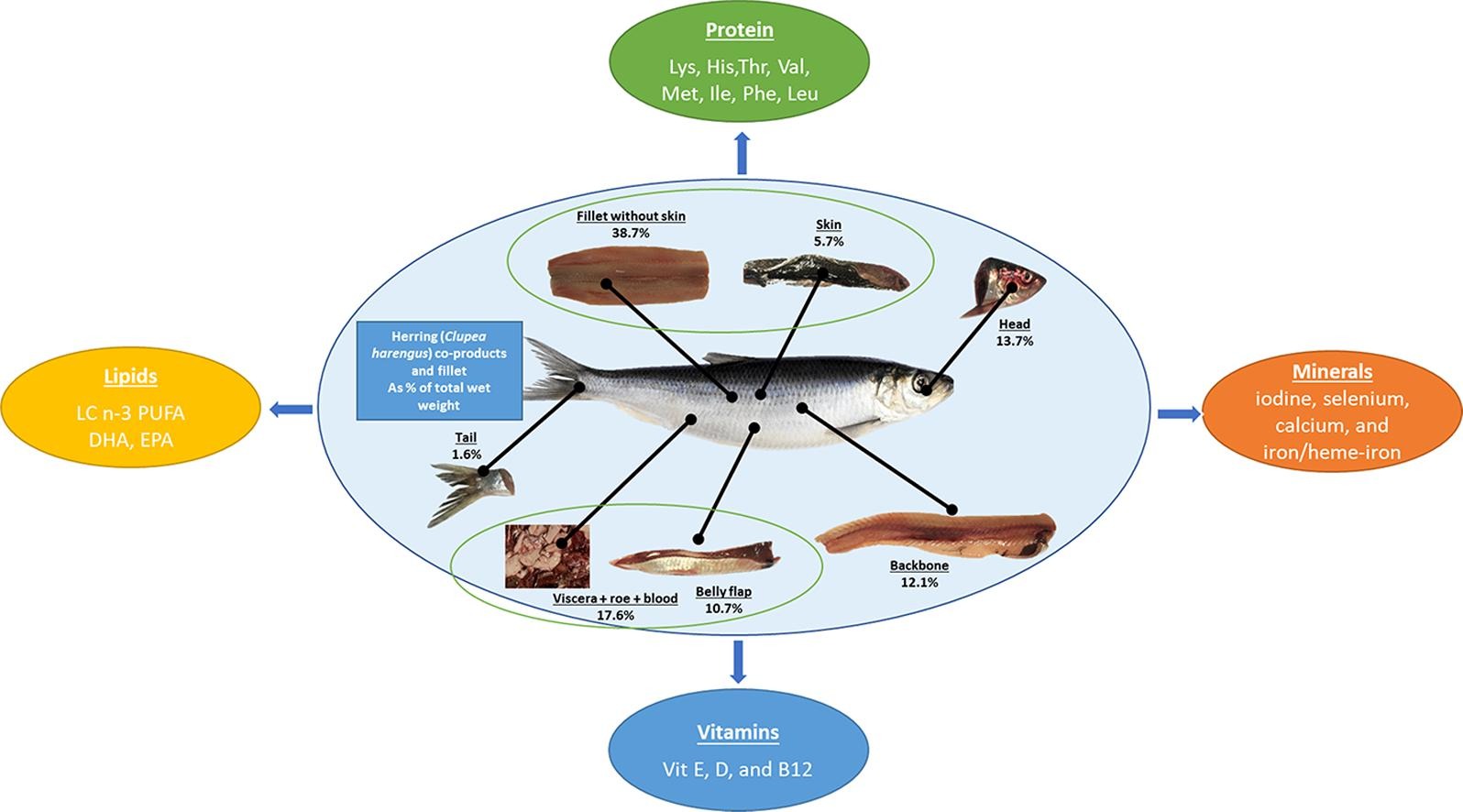 Nutritional composition of herring co-products from innovative sorting technology