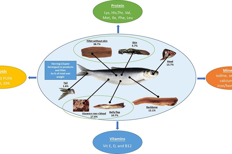 Nutritional composition of herring co-products from innovative sorting technology