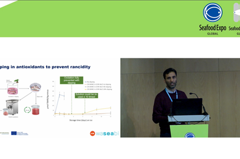 The hidden values in seafood side-streams