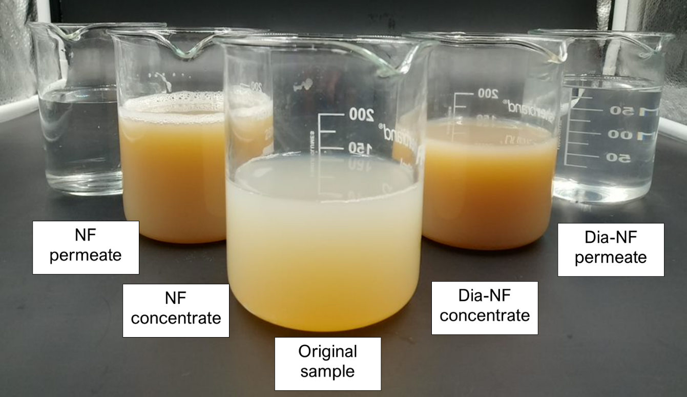 Recovering flavouring agents from mussel side-streams
