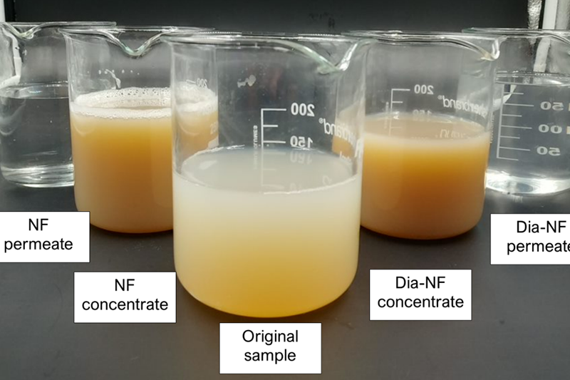 Recovering flavouring agents from mussel side-streams