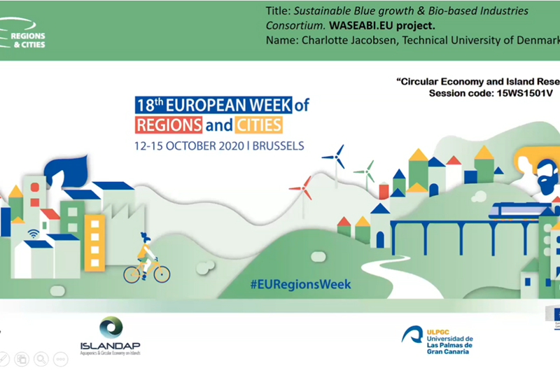 WaSeaBi  represented at European Week of Regions and Cities 2020