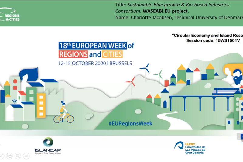 WaSeaBi represented at European Week of Regions and Cities 2020