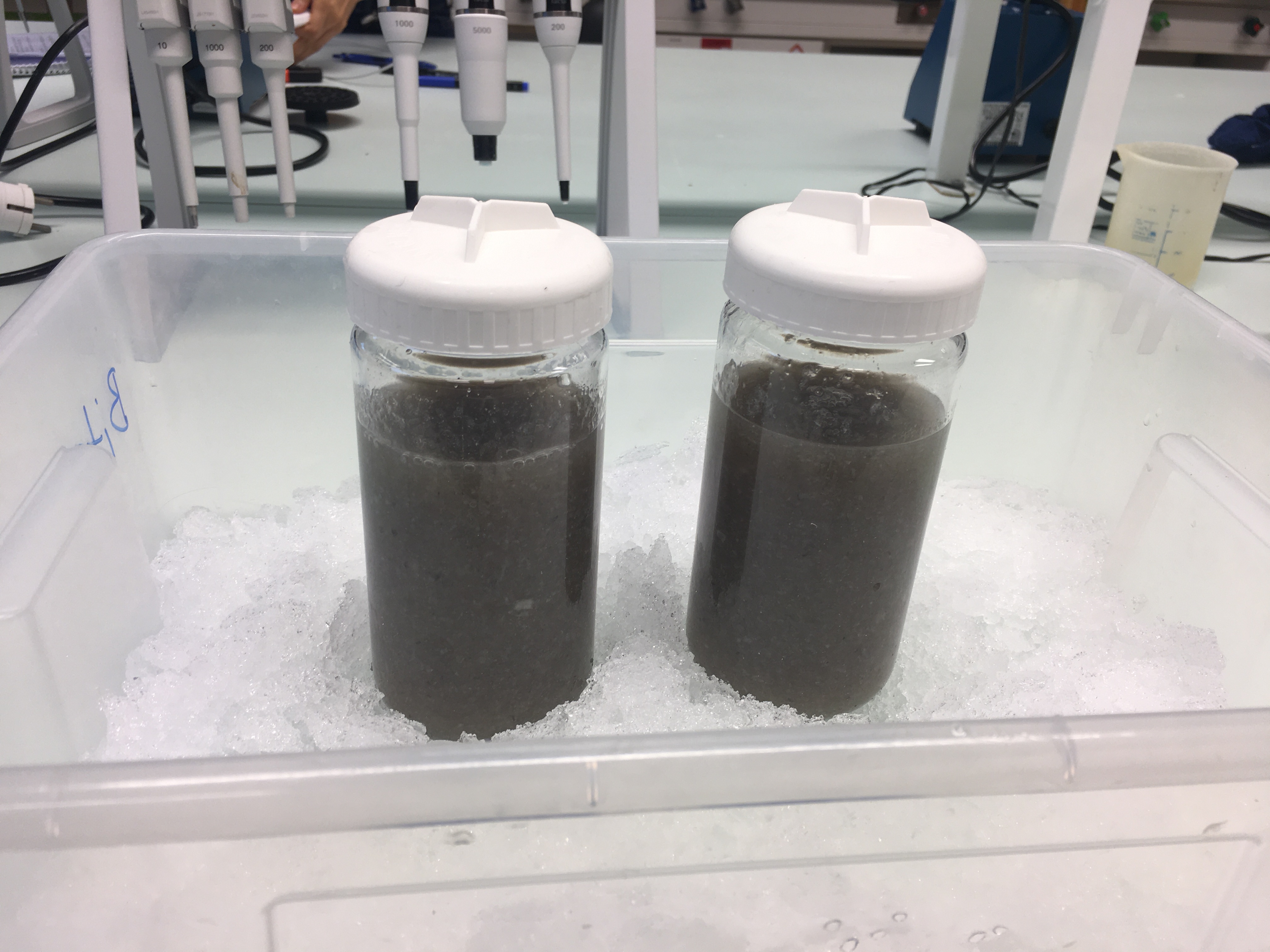 New accepted paper with support from WaSeaBi