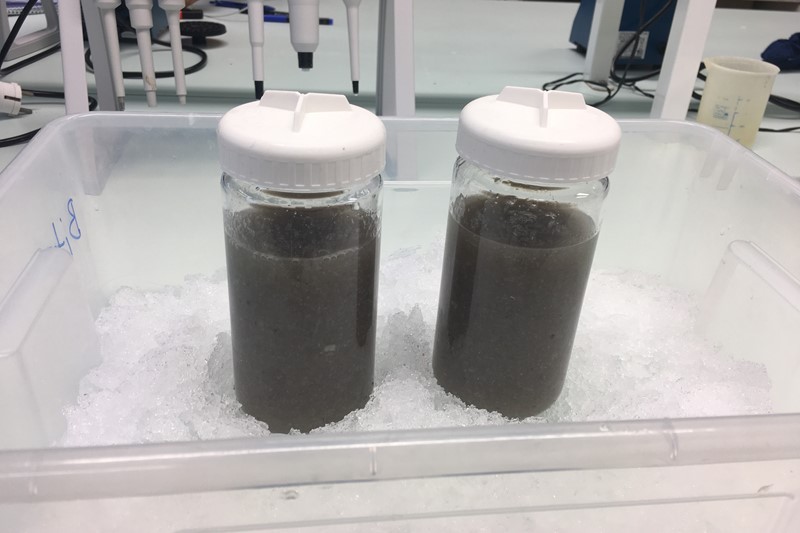 New accepted paper with support from WaSeaBi