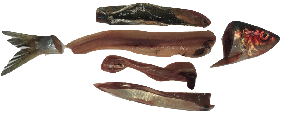 New paper published in Food and Bioprocess Technology