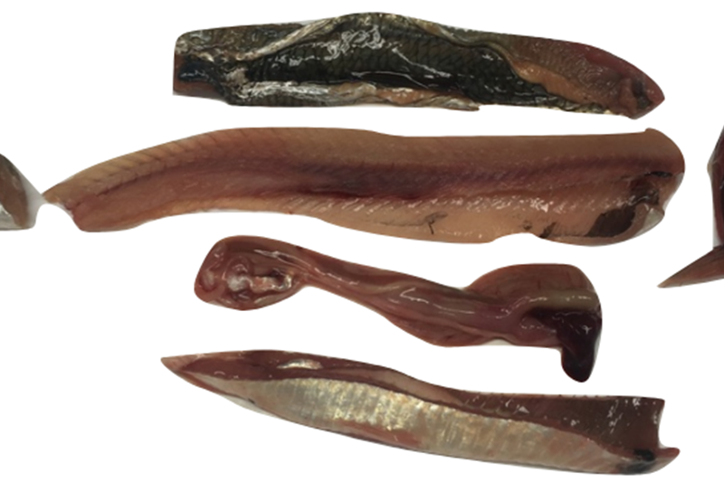 New paper published in Food and Bioprocess Technology