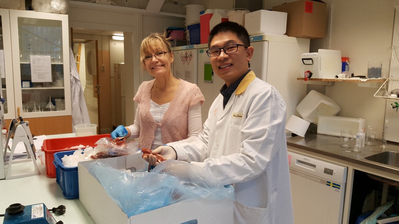 New cost-effective strategy prevents rancidity in fish side-streams