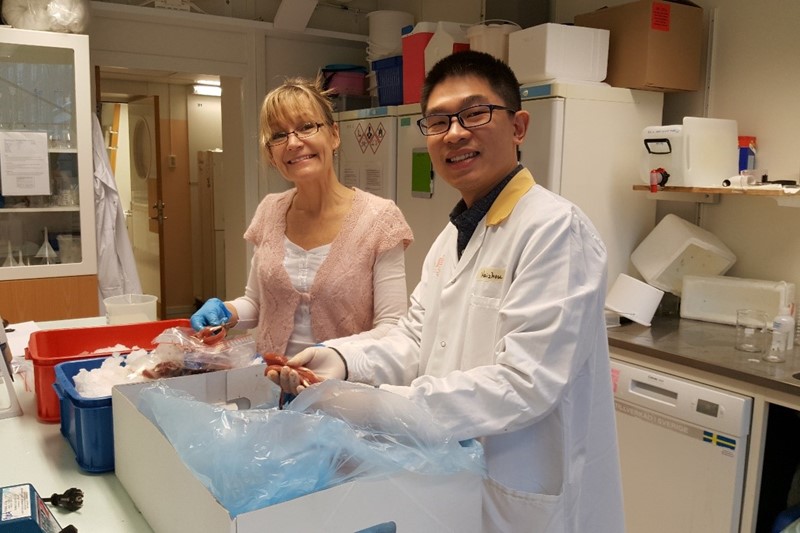 New cost-effective strategy prevents rancidity in fish side-streams