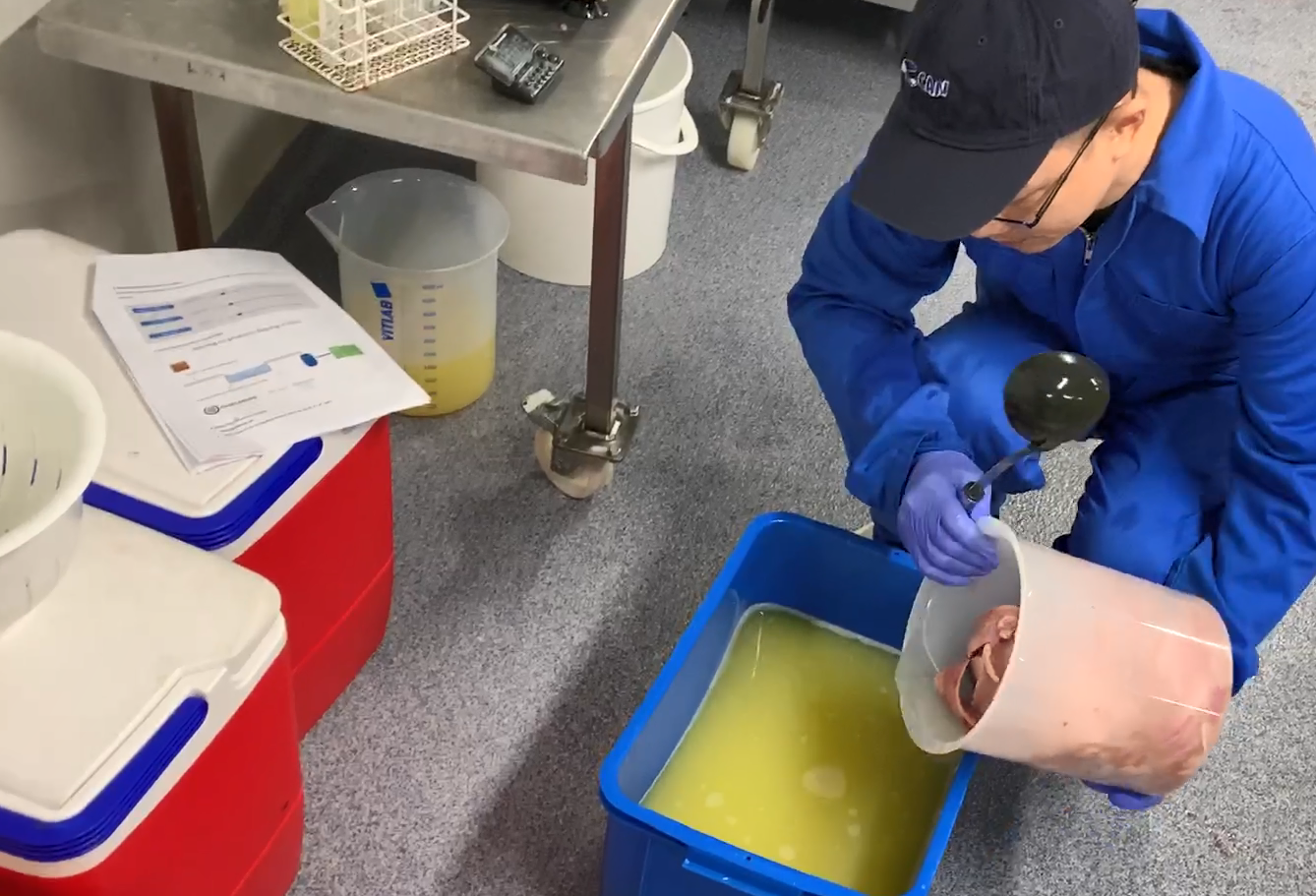 New Cost-Effective Stabilization Technology Enables Upgrading of Fish Side-streams into Food Ingredients