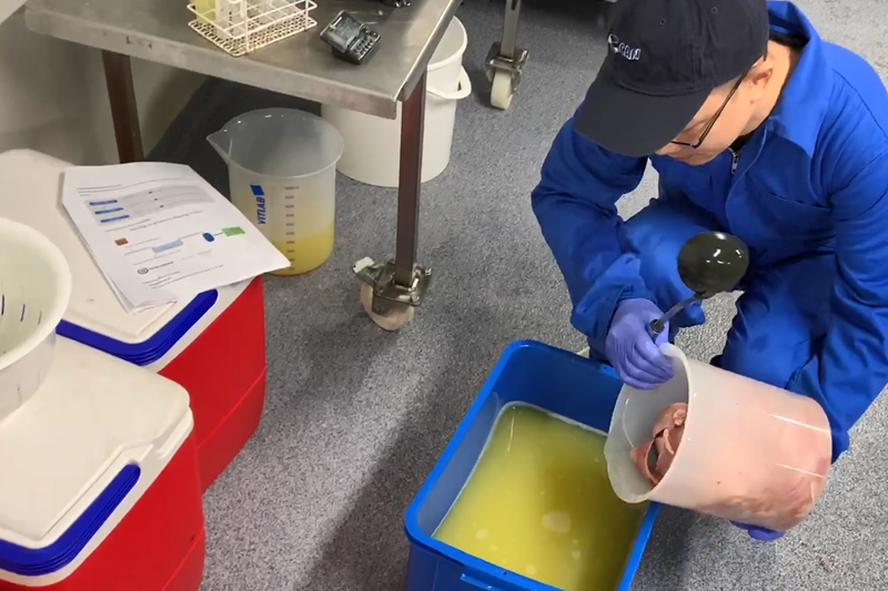 New Cost-Effective Stabilization Technology Enables Upgrading of Fish Side-streams into Food Ingredients